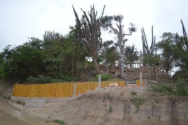 Inside the front gate looking toward casita